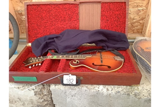 Mandolins