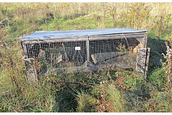 Rabbit Cage
