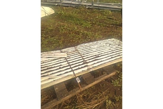 Plastic Sheeting