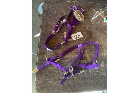 Halters - New