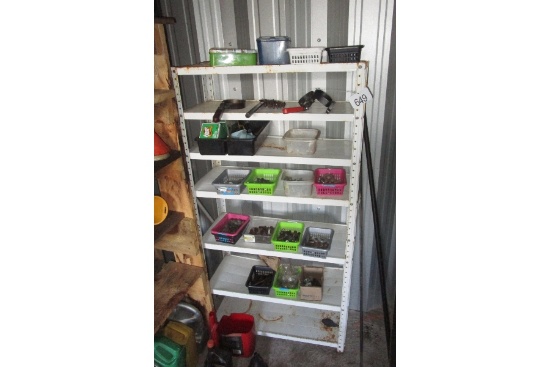Shelf and Contents