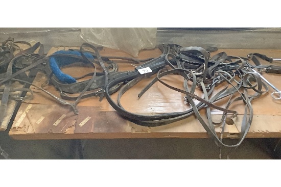 Harness