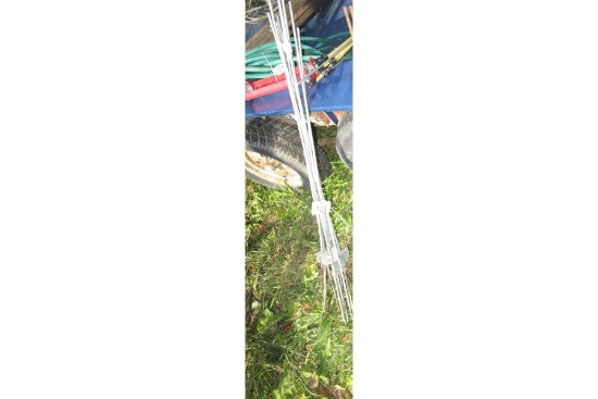 Electric Step in Stakes