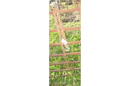 Chain with Hooks