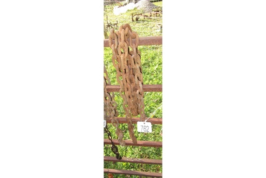 Chain with Hook