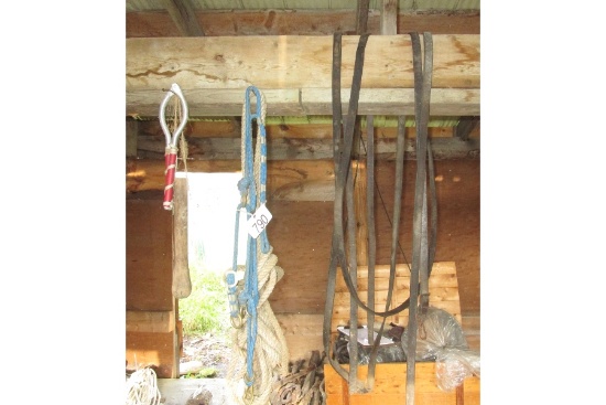 Can Not Break Halter, Etc.