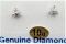 10kt. White Gold Diamond Earrings - New