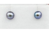 Freshwater Pearl Earrings - New