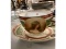 Hand Painted Austrian Cup and Saucer