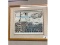Colour Lithograph - Signed
