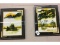Watercolours- Signed