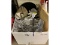 Kitchenware