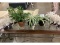 Artificial Plants