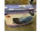 Massage Cushion