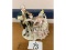 Dresden Figurine