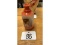 Austria Hand Painted Vase