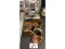 Nut Server and Copperware