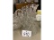 Crystal Pitcher