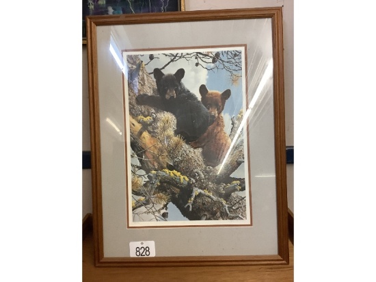 Limited Edition Bear Picture