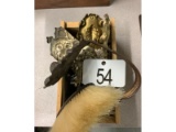 Curtain Tie Backs