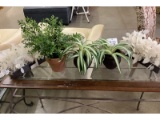 Artificial Plants