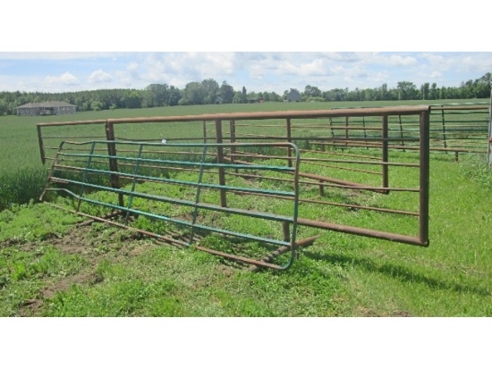 Western Panel With Swing Gate - One Bar Slightly Bent