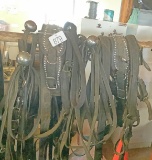 Set of Leather Harness