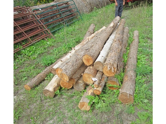 18 Cedar Posts