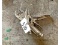 3 Pairs Locking Pliers