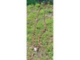 2-12' Sections of HD Chain