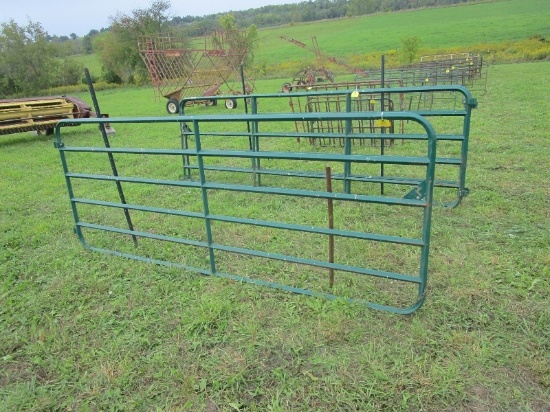 10' Diamond Gate