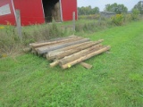 20 Cedar Posts