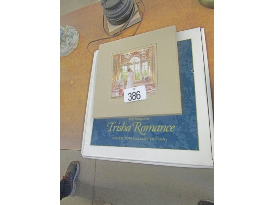 The World of Trisha Romance Book