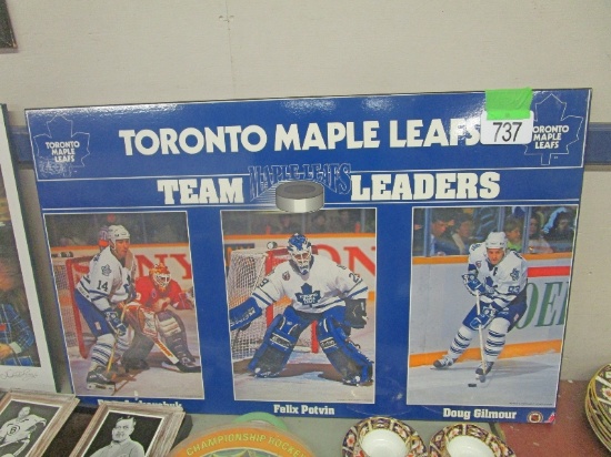 Toronto Maple Leaf's Frame