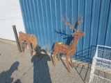 2 Reindeer
