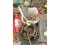Pail Of Gate Hinges & Door Brackets