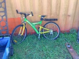 21 Speed Mountain Bike
