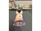 Box of Tall Boy Parkies