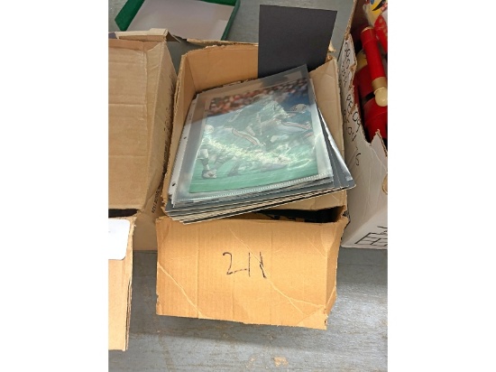 2 Boxes of Sports Photos