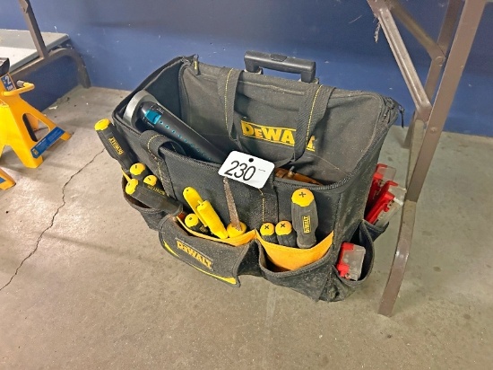 DeWalt Bag and Tools