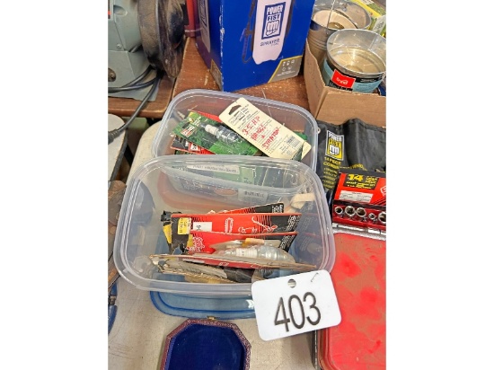 2 Containers Spark Plugs