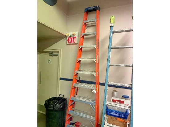 Werner 10' Fiberglass Step Ladder