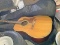 Guitar & Case