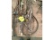 5 Bridles