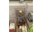 Solar 230 A AC/DC Arc Welder