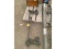Antique Rolling Door Carrier