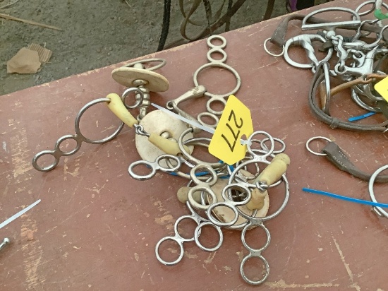 5 Horse Bits