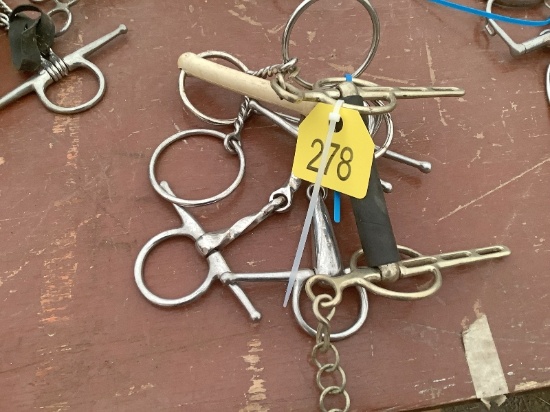 5 Horse Bits