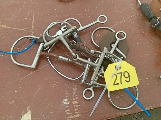 5 Horse Bits