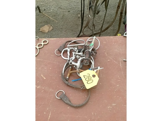 5 Horse Bits